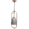 Eliante Hanging Light Smoky Black Mild Steel With Glass Shade, 1-Light Pendant Lamp