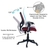 Goolda Low Back Ergonomic Chair in Maroon Colour