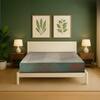 Repose Ortholux Foam PU Foam with Memory Foam Mattress (L x W: 78 inch x 72 inch, Thickness 6 Inches )