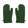 Bandipur Set Of 2 Gloves with Green colour