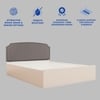 Pingala Engineered Wood Queen  Size Bed With Hydraulic Storage (Melamine Finish, White Colour)