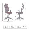 Zeeazyana High Back Ergonomic Chair in Brown Colour