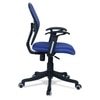 Aaeroa Low Back Ergonomic Chair in Black Colour