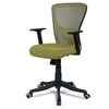 Peacifice Mid Back Ergonomic Chair in Pearl Green Colour