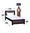 Coram Solid Wood Single Bed In Walnut Finish