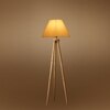 Devansh Tripod Floor Lamp