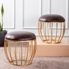 Axel Leatherette Cage Metallic Stool in Brown Color Set of 2