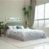 Pingala Engineered Wood Queen Size Bed In White Finish
