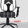 ASE Gaming Gold Series Gaming Chair (White)