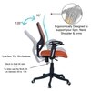 Goolda Low Back Ergonomic Chair in Orange Colour