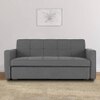 Medas 3 Pull Out Sofa Cum Bed In Dark Grey Colour