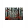 Truss Pcs Orange Coloured White Generic Tableau Printed Canvas Wall Prints Set of 3 Multicolor Matte
