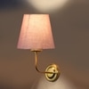 Devansh Metal Electric Wall Light in Gold Colour with Grey Shade Count of 1 Light