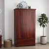 Dyna  2 Door 1 Drawer Sheesham Wood Wardrobe in Mahogany Finish