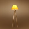 Devansh Tripod Floor Lamp