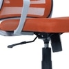 Xxeana Mid Back Ergonomic Chair in Orange Colour