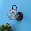 Eliante Modern Wall Lights Mild Steel, Glass & Glass Material Brown,Gold & Champaign Finish