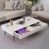 Hexa Engineered Wood Coffee Table With 2 Drawers In Frosty White