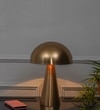 Fungo Single Light Table Lamp In Brass Finish