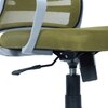 Xxeana Mid Back Ergonomic Chair in Pearl Green Colour