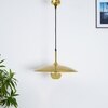 Cornel Gold Metal Hanging Pendant Light