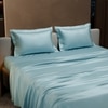 Stoa Paris Double Bedsheet with 2 Pillow Covers sheet with Dreamy Blue