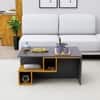 Hexa Engineered Wood Coffee Table With Storage In Slate Grey And Giant Wood