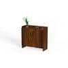 Brooklyn Engineered Wood Shoe Cabinet with Brown Maple finish