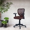 Odrione Low Back Ergonomic Chair in Brown Colour