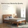 Boston Solid Wood Compact Queen Size Bed In Teak Finish