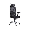Align X Ergonomic High Back Office Chair in Black Colour