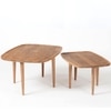 Sora Solid Wood Coffee Table in Brown Colour
