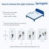 Springtek Waterproof Mattress Protector Premium Cotton Mattress Bed  Cover75x72 in White
