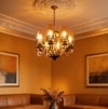 Eliante Champaign Chandelier, 8-Light, Mild Steel And Glass
