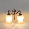 Devansh Metal Electric Wall Light in White Colour with White Shade Count of 2 Lights