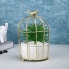 Faux Plant In Ceramic Pot With Attractive Bird Cage