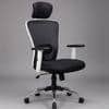 Kepler Brooks High Back Office Chair | 2 Years Warranty | Chair for Office Work at Home, Ergonomic Chair, Diwali Gifts, 2D Adjustable Arms, Headrest & Lumbar Support, Multi Synchro Lock (Zeus, White)