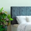 Prana Engineered Wood Queen  Size Bed With Hydraulic Storage (Melamine Finish, White Colour)