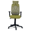 Zeeazyana High Back Ergonomic Chair in Pearl Green Colour