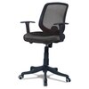 Xxeana Low Back Ergonomic Chair in Black Colour