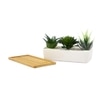 Artificial Faux Plants In A Ceramic Pot With A Wooden Plate