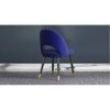 Rexo Solid Wood Accent Chair in Navy Blue Colour