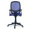 Goolda Low Back Ergonomic Chair in Blue Colour
