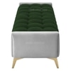 Hoslo Velvet 2 Seater Ottoman Bench in Green & Grey Color