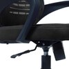 Diicea Mid Back Ergonomic Chair in Black Colour