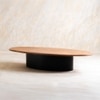 Ark Solid Wood Coffee Table in Brown Colour
