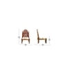 Galene Solid Wood Lounge Chair in Multicolor Colour