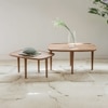 Sora Solid Wood Coffee Table in Brown Colour