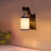 Devansh Solid Wood Electric Wall Light in Brown Colour with Multi Shade Count of 1 Light