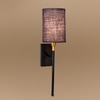 Devansh Metal Electric Wall Light in Black Colour with Blue Shade Count of 1 Light